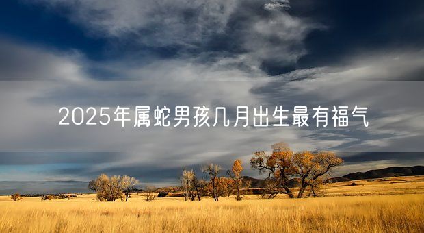 2025年属蛇男孩几月出生最有福气(图1)