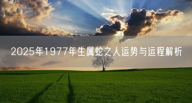 2025年1977年生属蛇之人运势与运程解析(图1)