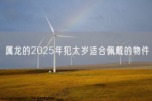 属龙的2025年犯太岁适合佩戴的物件(图1)