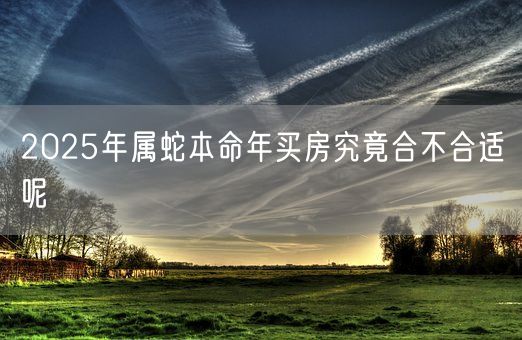 2025年属蛇本命年买房究竟合不合适呢(图1)