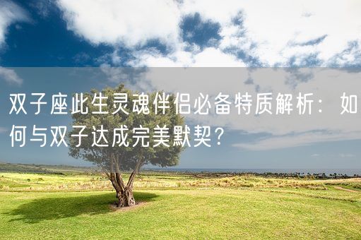 双子座此生灵魂伴侣必备特质解析：如何与双子达成完美默契？(图1)