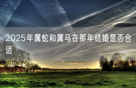 2025年属蛇和属马在那年结婚是否合适(图1)
