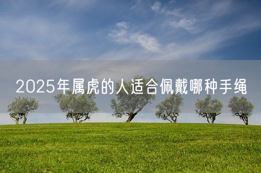 2025年属虎的人适合佩戴哪种手绳(图1)