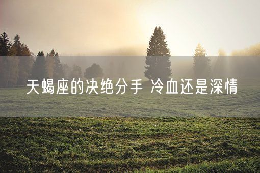 天蝎座的决绝分手 冷血还是深情(图1)