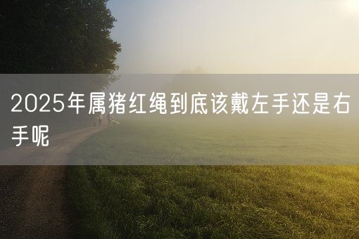 2025年属猪红绳到底该戴左手还是右手呢(图1)