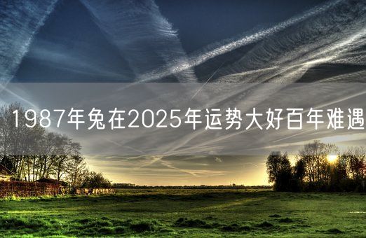 1987年兔在2025年运势大好百年难遇(图1)
