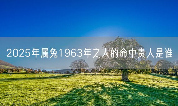 2025年属兔1963年之人的命中贵人是谁(图1)