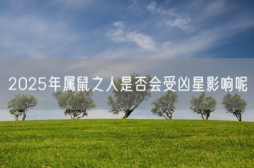 2025年属鼠之人是否会受凶星影响呢(图1) 2025年属鼠之人是否会受凶星影响呢(图1)