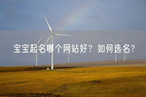 宝宝起名哪个网站好？如何选名？(图1)
