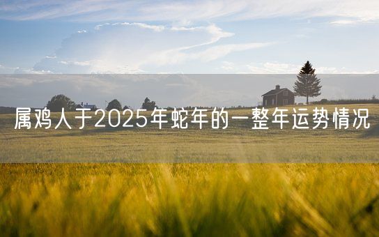 属鸡人于2025年蛇年的一整年运势情况(图1)