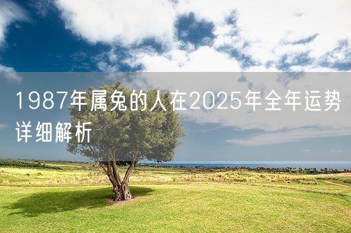 1987年属兔的人在2025年全年运势详细解析(图1)