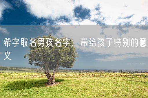 希字取名男孩名字，带给孩子特别的意义(图1)
