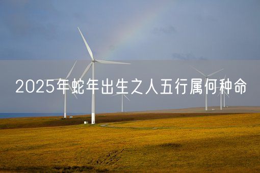 2025年蛇年出生之人五行属何种命(图1)