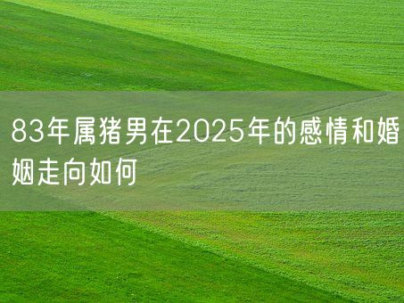 83年属猪男在2025年的感情和婚姻走向如何(图1)