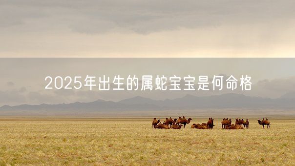 2025年出生的属蛇宝宝是何命格(图1)