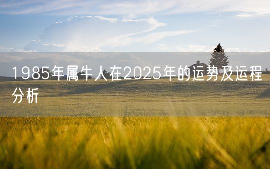 1985年属牛人在2025年的运势及运程分析(图1)