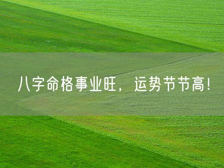 八字命格事业旺，运势节节高！(图1)