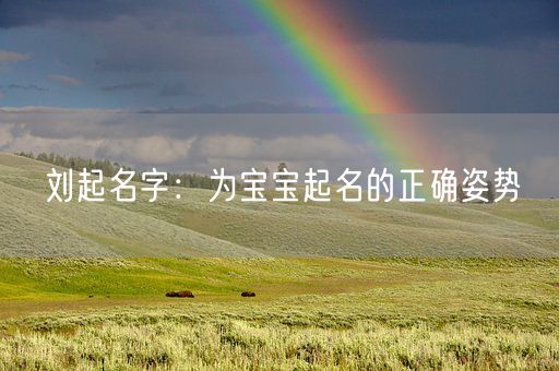 刘起名字：为宝宝起名的正确姿势(图1)