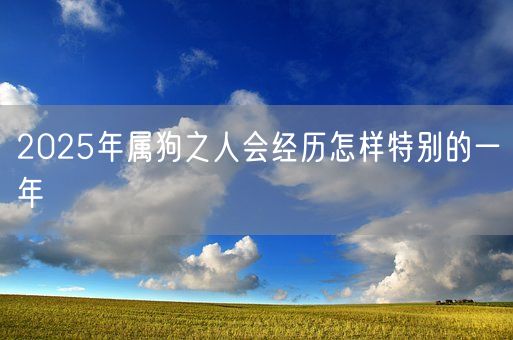 2025年属狗之人会经历怎样特别的一年(图1)