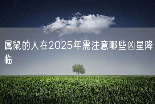 属鼠的人在2025年需注意哪些凶星降临(图1)