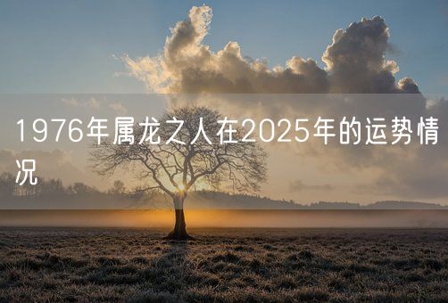 1976年属龙之人在2025年的运势情况(图1)