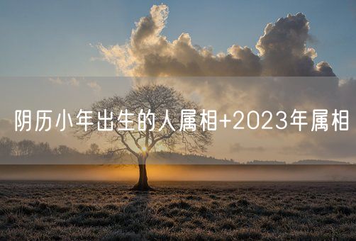 阴历小年出生的人属相+2023年属相(图1)