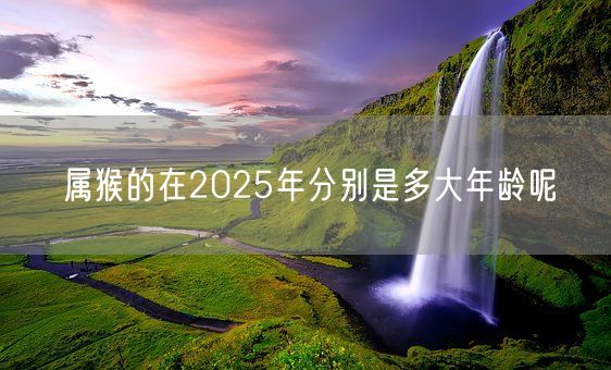 属猴的在2025年分别是多大年龄呢(图1)