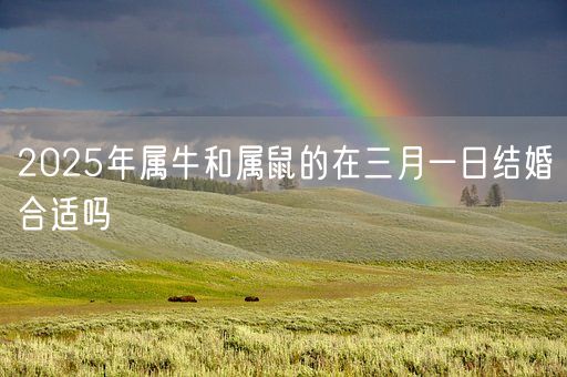 2025年属牛和属鼠的在三月一日结婚合适吗(图1)