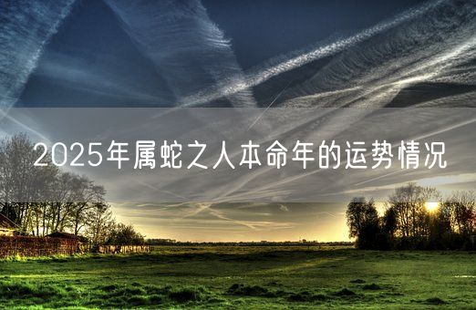 2025年属蛇之人本命年的运势情况(图1)