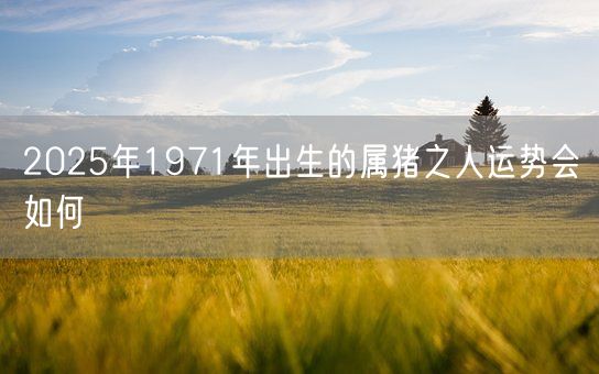 2025年1971年出生的属猪之人运势会如何(图1)