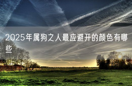 2025年属狗之人最应避开的颜色有哪些(图1)
