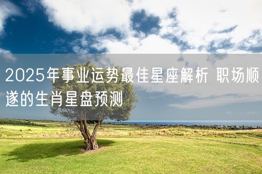 2025年事业运势最佳星座解析 职场顺遂的生肖星盘预测(图1)