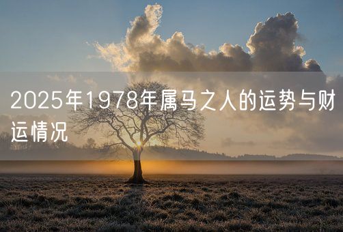 2025年1978年属马之人的运势与财运情况(图1)