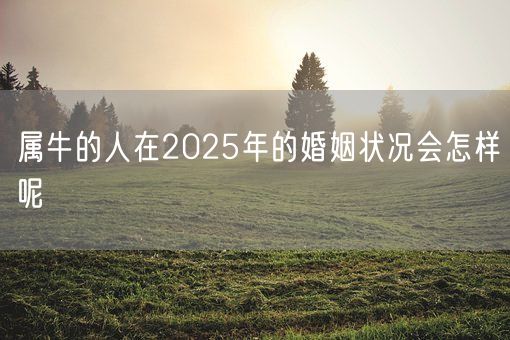 属牛的人在2025年的婚姻状况会怎样呢(图1)