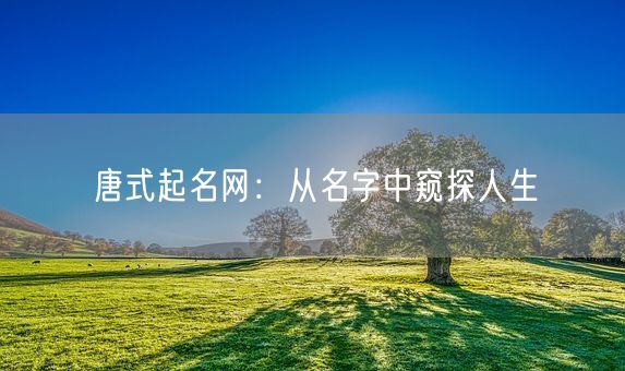 唐式起名网：从名字中窥探人生(图1)