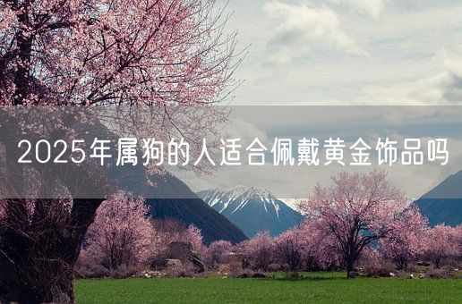 2025年属狗的人适合佩戴黄金饰品吗(图1)