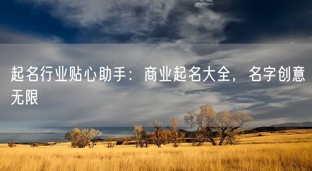 起名行业贴心助手：商业起名大全，名字创意无限(图1)