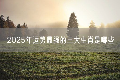 2025年运势最强的三大生肖是哪些(图1)