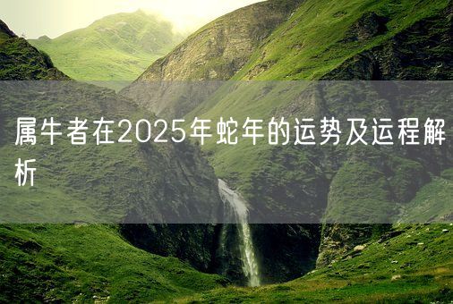 属牛者在2025年蛇年的运势及运程解析(图1)