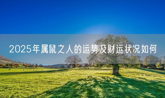 2025年属鼠之人的运势及财运状况如何(图1)