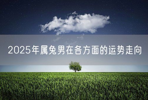 2025年属兔男在各方面的运势走向(图1)