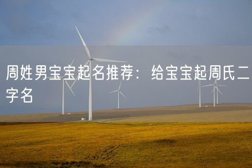 周姓男宝宝起名推荐：给宝宝起周氏二字名(图1)