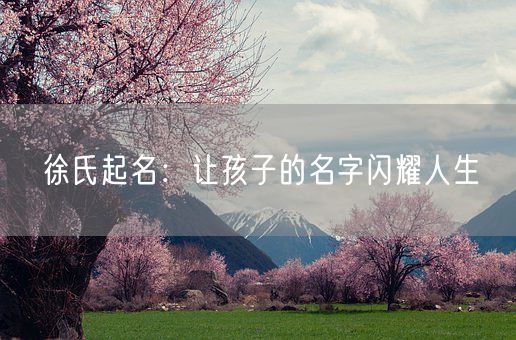 徐氏起名：让孩子的名字闪耀人生(图1)