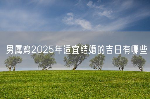 男属鸡2025年适宜结婚的吉日有哪些(图1)