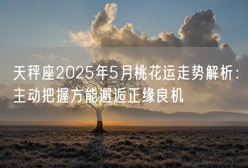 天秤座2025年5月桃花运走势解析：主动把握方能邂逅正缘良机(图1)