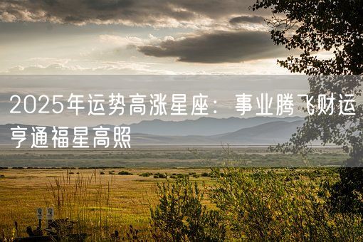 2025年运势高涨星座：事业腾飞财运亨通福星高照(图1)
