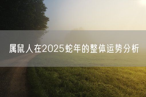 属鼠人在2025蛇年的整体运势分析(图1)