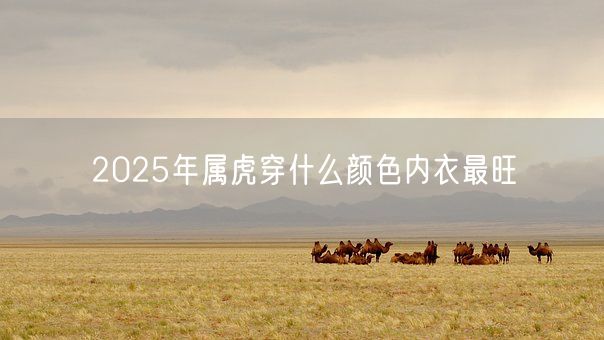 2025年属虎穿什么颜色内衣最旺(图1)