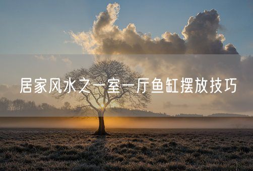 居家风水之一室一厅鱼缸摆放技巧(图1)
