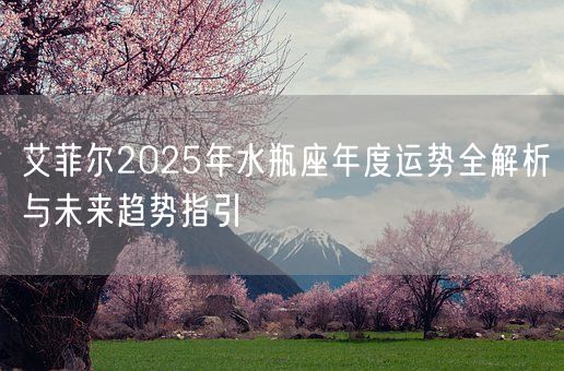 艾菲尔2025年水瓶座年度运势全解析与未来趋势指引(图1)